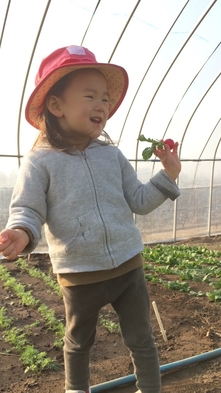 【朝食付き】ちょこっと収穫体験付プラン(6/21まで)◎採れたての無農薬野菜たっぷり手作り朝食◎◎ 